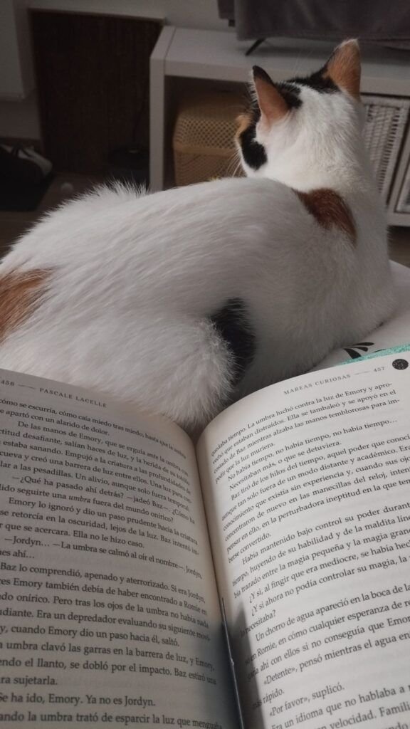 Sobre mi 4 Leer con Aelín vigilando